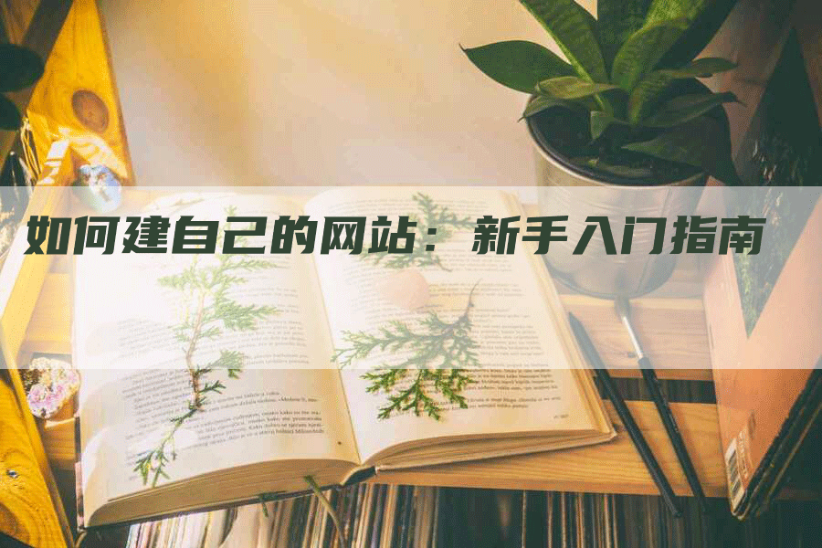 如何建自己的网站：新手入门指南