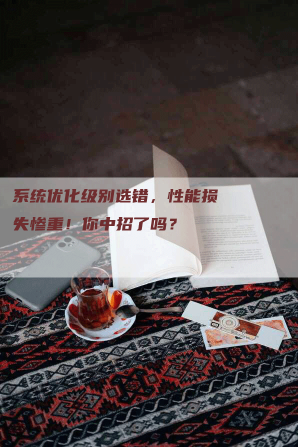 系统优化级别选错，性能损失惨重！你中招了吗？