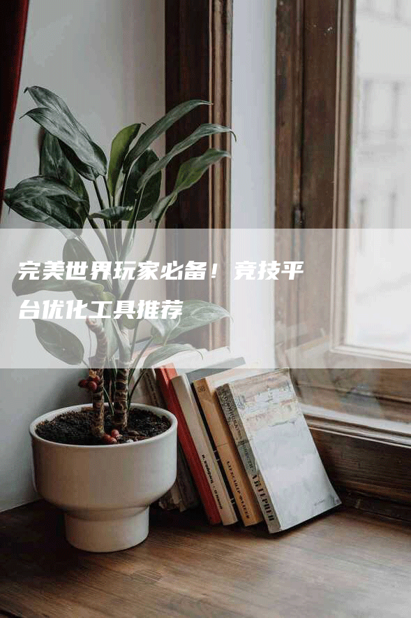 完美世界玩家必备！竞技平台优化工具推荐