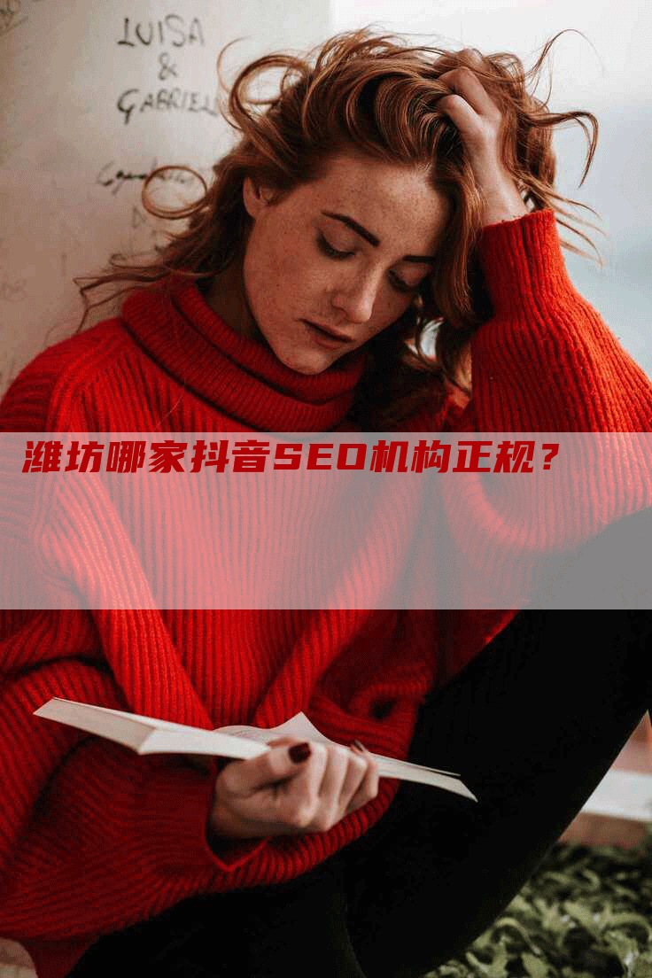 潍坊哪家抖音SEO机构正规？