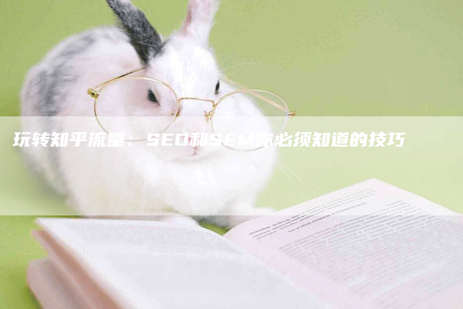 玩转知乎流量：SEO和SEM你必须知道的技巧