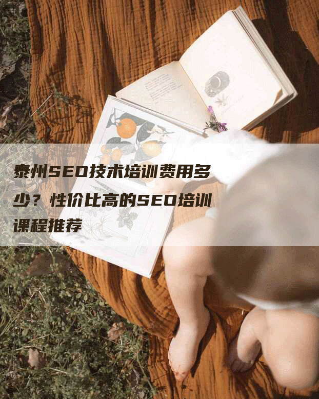 泰州SEO技术培训费用多少？性价比高的SEO培训课程推荐