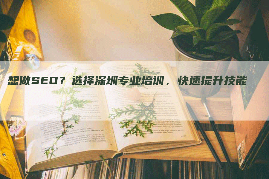 想做SEO？选择深圳专业培训，快速提升技能