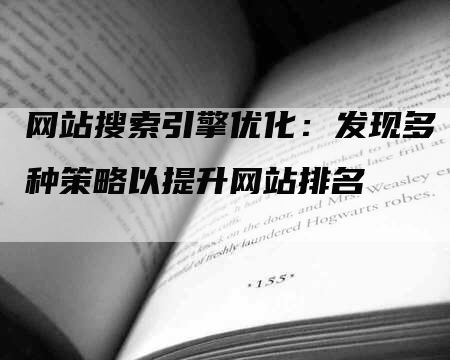 网站搜索引擎优化：发现多种策略以提升网站排名