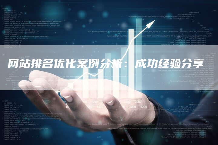 网站排名优化案例分析：成功经验分享