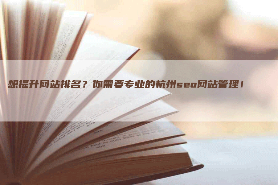 想提升网站排名？你需要专业的杭州seo网站管理！