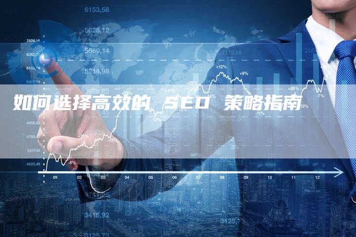 如何选择高效的 SEO 策略指南