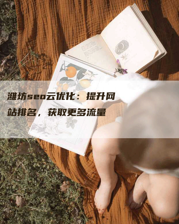 潍坊seo云优化：提升网站排名，获取更多流量